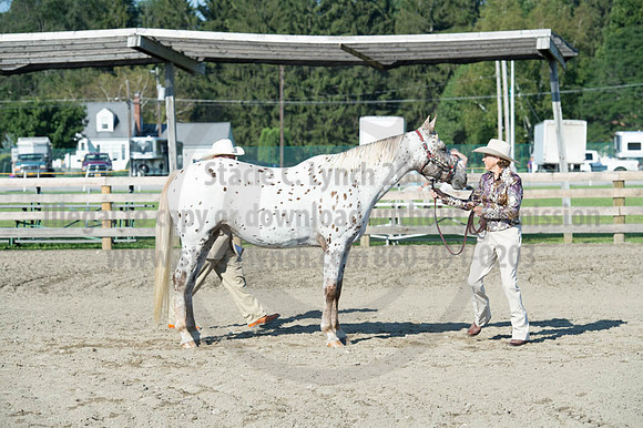 2016DCF_08272016_SCL_0954