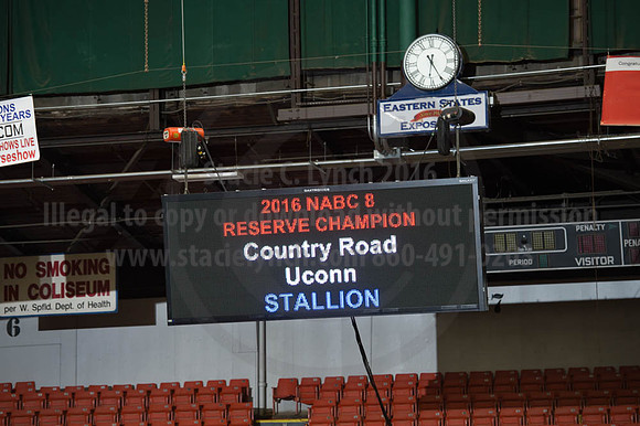NABC8_10122016_SCL_4166