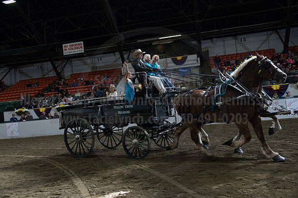 NABC8_10142016_SCL_8855