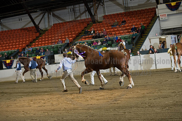 NABC8_10122016_SCL_4100