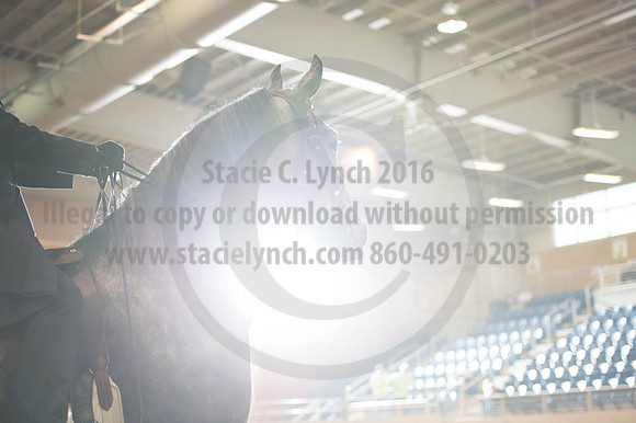 2016 _KILE_10082016_SCL9376