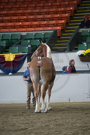 NABC8_10132016_SCL_5132