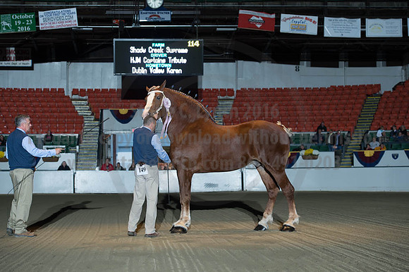 NABC8_10122016_SCL_4086