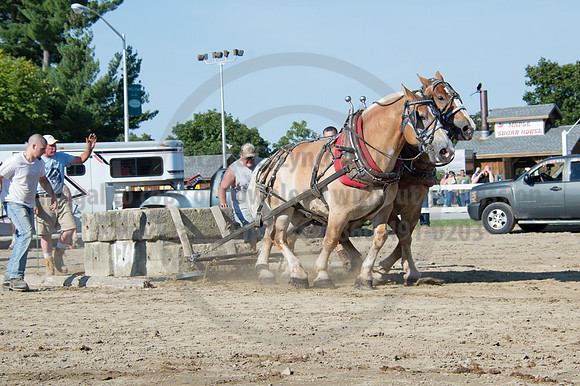 2016DCF_08242016_SCL_9452