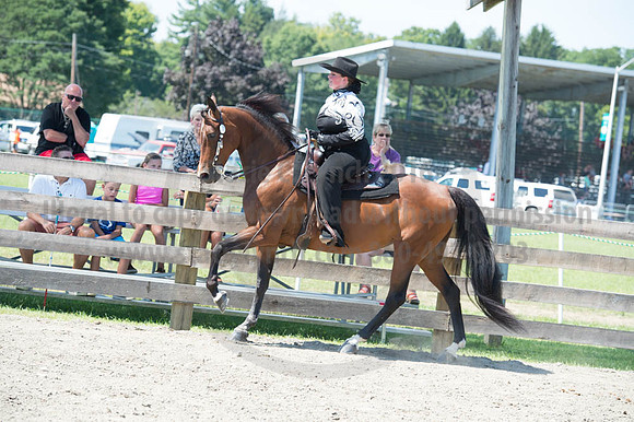 2016DCF_08272016_SCL_1311