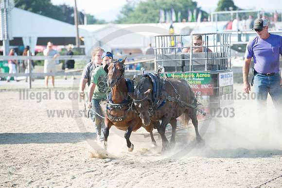 2016DCF_08272016_SCL_1465