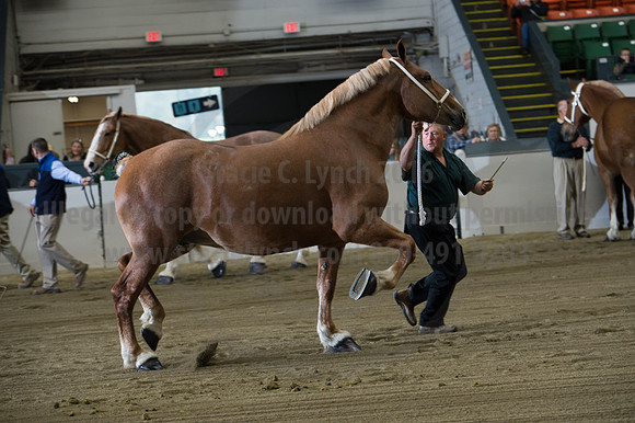NABC8_10132016_SCL_5072